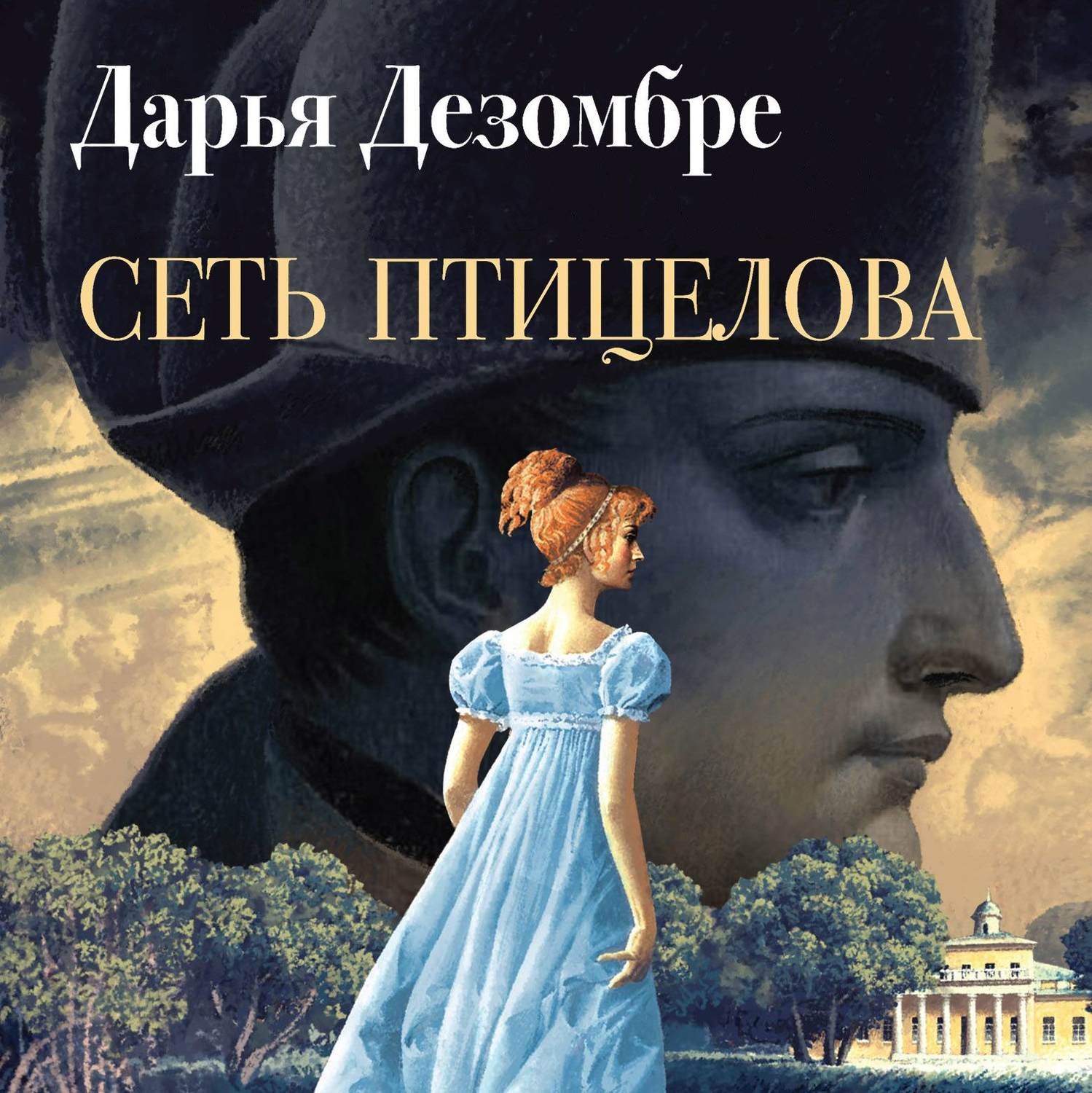 Аудиокнига «Сеть птицелова», Дарьи Дезомбре в исполнении Ивана Литвинова -  слушать онлайн на Звуки Слов