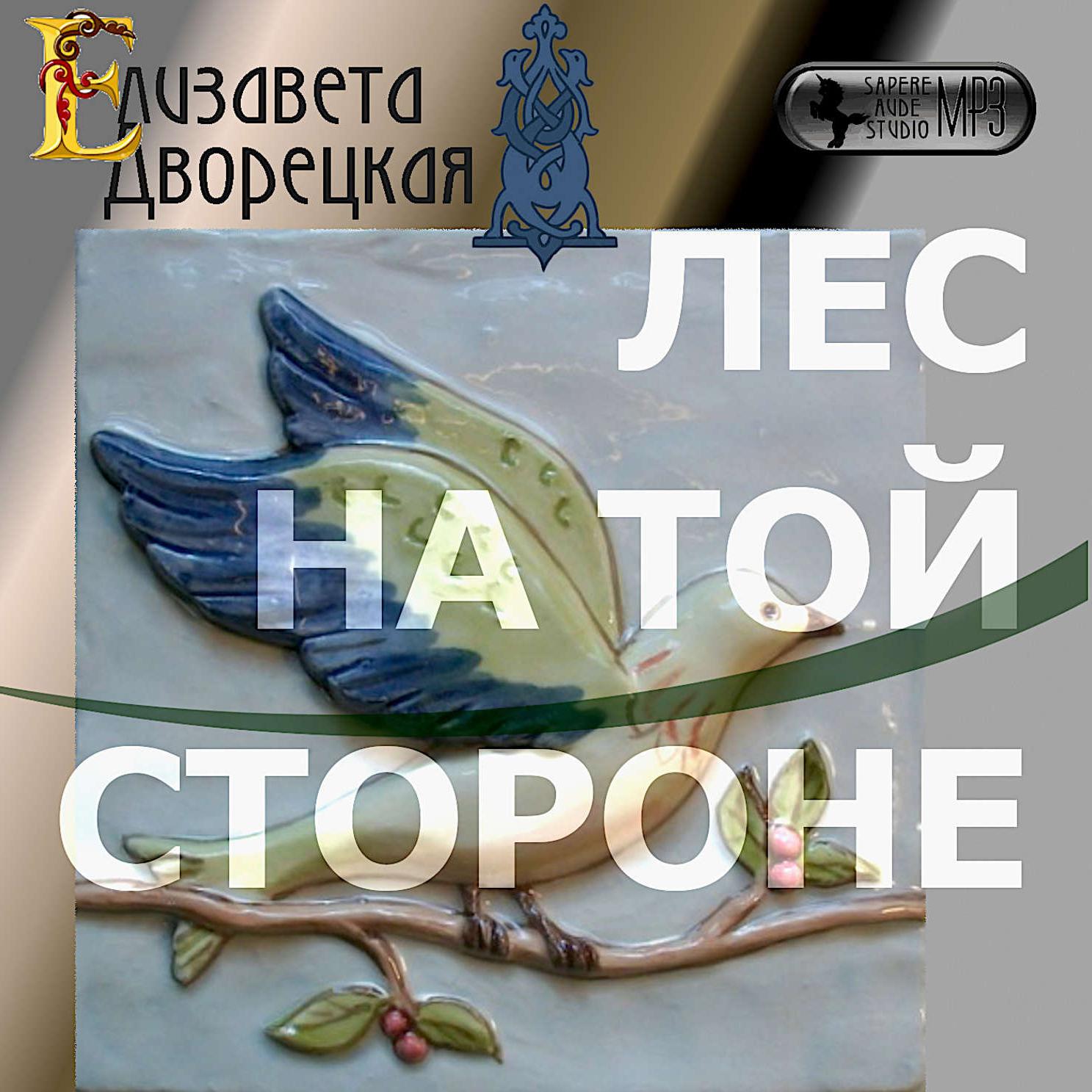 Аудиокнига «Лес на той стороне», Елизаветы Дворецкой в исполнении Натальи  Беляевой - слушать онлайн на Звуки Слов